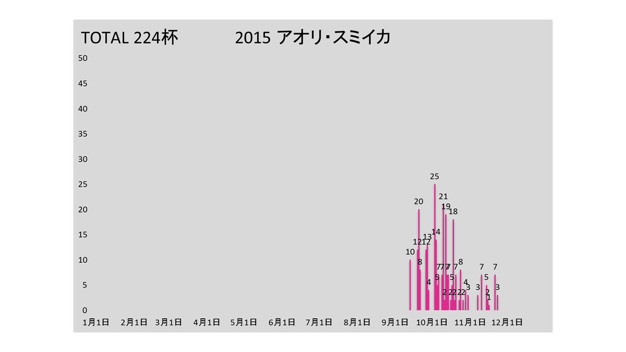 2015ika.jpg