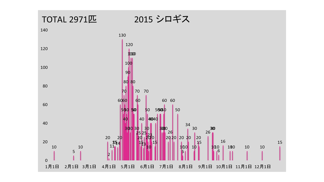 2015kiss.jpg