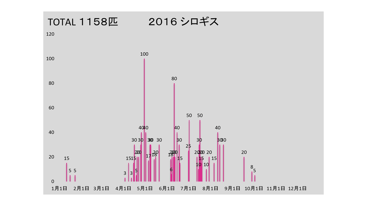 2016kiss.jpg