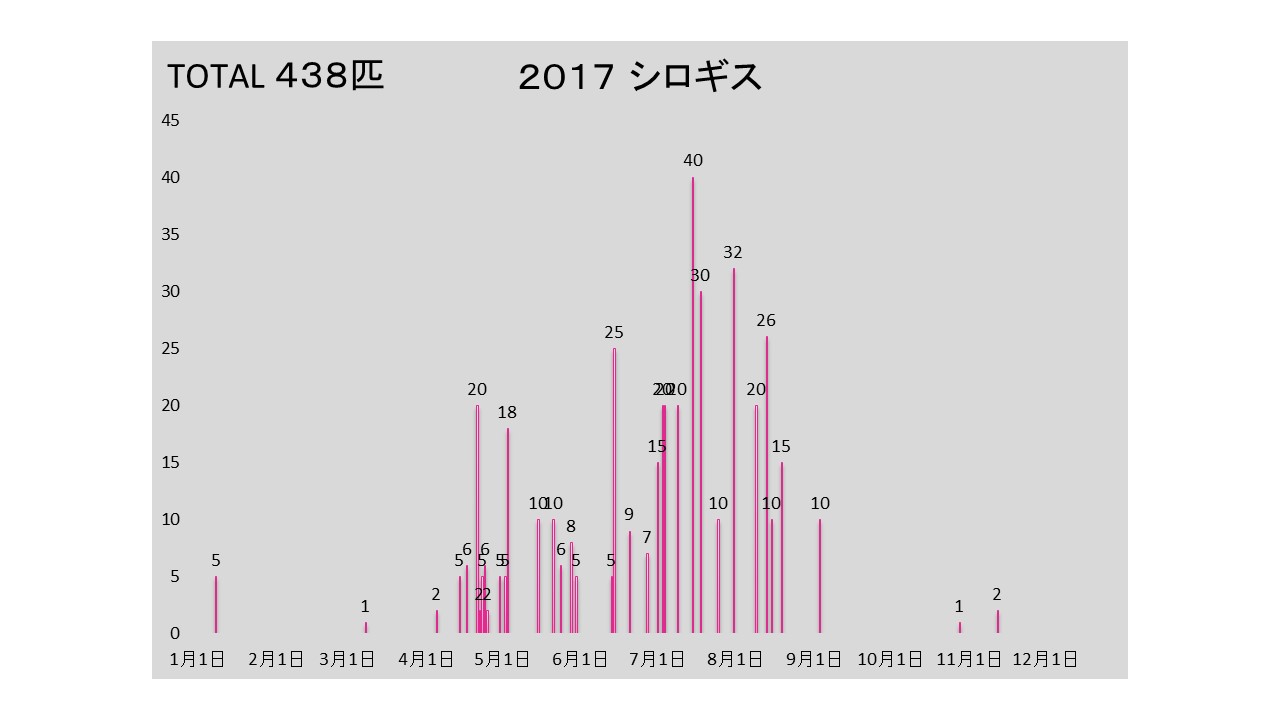 2017kiss.jpg